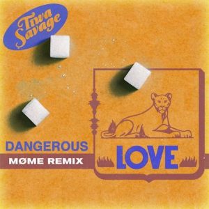 Dangerous Love Orange Cover
